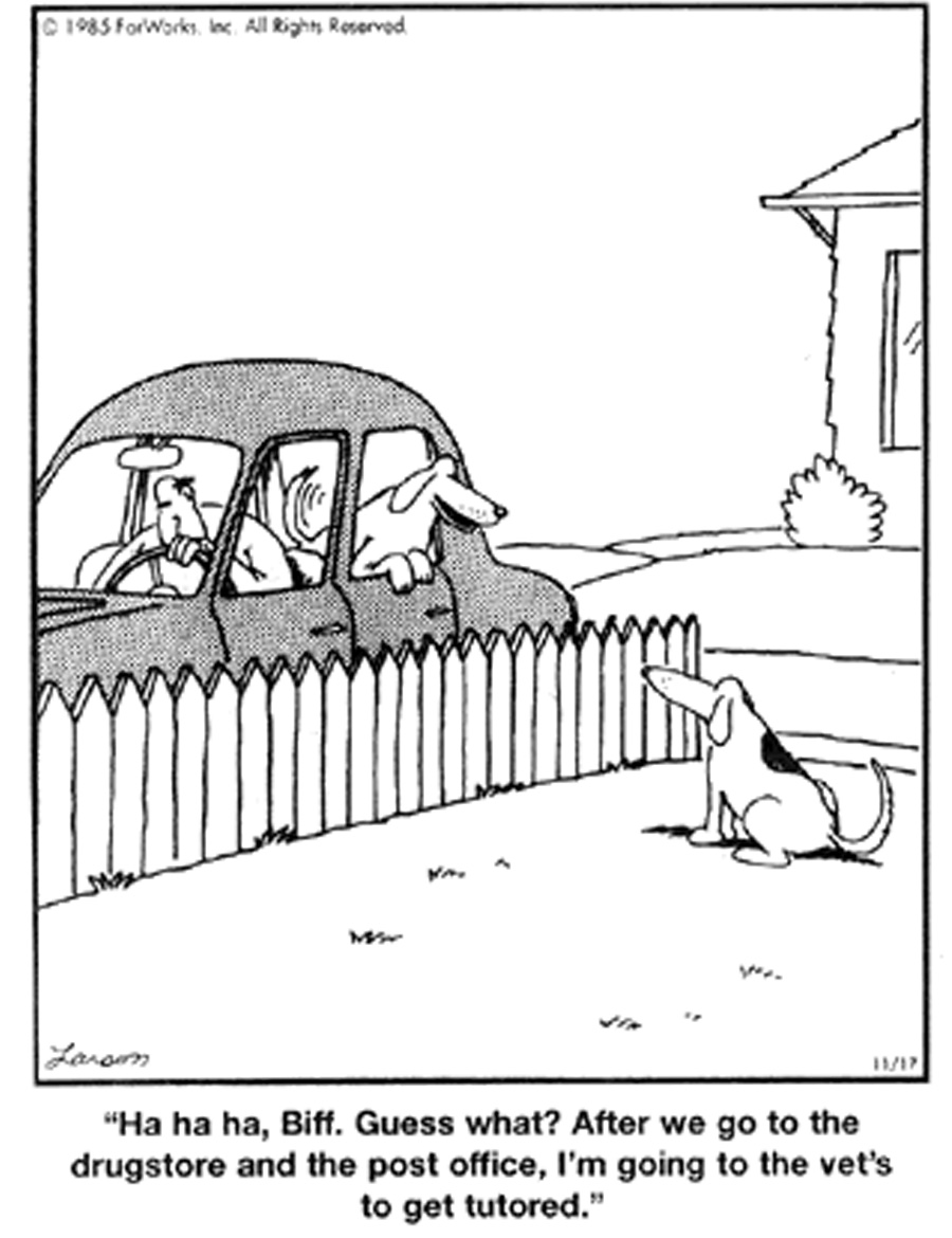 Far Side Genius